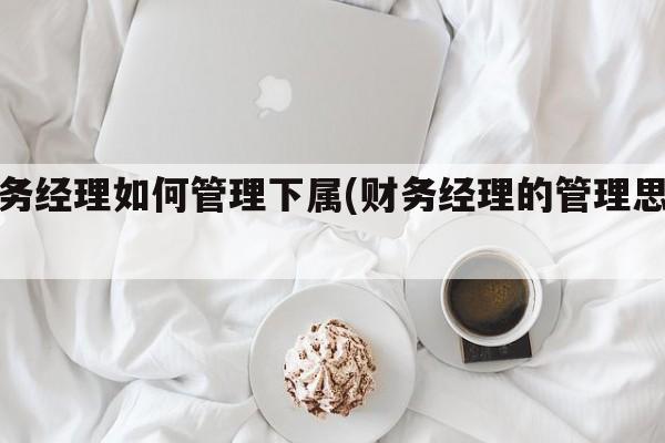 财务经理如何管理下属(财务经理的管理思路)